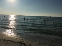 IMG 3332