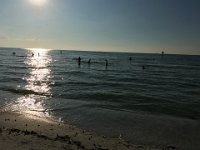 IMG 3333