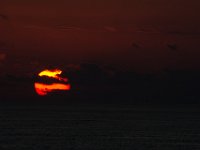 DSC 1136