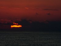 DSC 1137