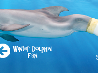 Winter-Image-FBCover