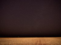 DSC 1423