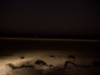 DSC 1432