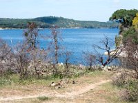 DSC 0675 : Austin