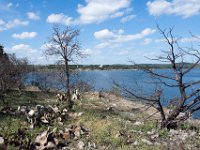 DSC 0676 : Austin