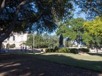 DSC 0703 : Austin