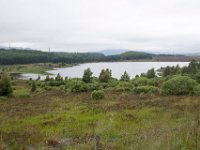 DSC 6580 : Aberfeldy Safari