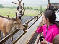 DSC 6590 : Aberfeldy Safari