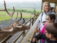 DSC 6592 : Aberfeldy Safari