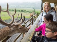 DSC 6593 : Aberfeldy Safari