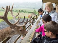 DSC 6594 : Aberfeldy Safari