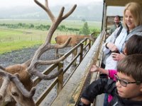 DSC 6596 : Aberfeldy Safari