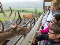 DSC 6597 : Aberfeldy Safari