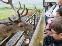 DSC 6602 : Aberfeldy Safari