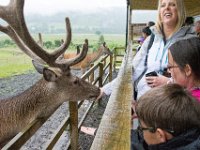 DSC 6605 : Aberfeldy Safari
