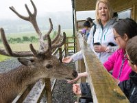 DSC 6621 : Aberfeldy Safari