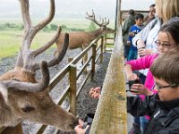 DSC 6622 : Aberfeldy Safari
