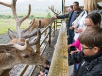 DSC 6623 : Aberfeldy Safari