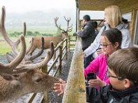 DSC 6624 : Aberfeldy Safari