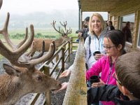 DSC 6625 : Aberfeldy Safari