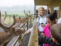 DSC 6626 : Aberfeldy Safari