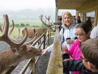 DSC 6627 : Aberfeldy Safari