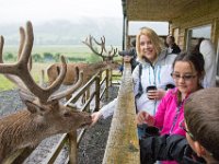 DSC 6628 : Aberfeldy Safari