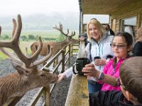 DSC 6629 : Aberfeldy Safari