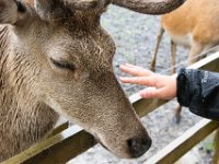 DSC 6638 : Aberfeldy Safari