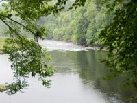 DSC 6670 : Aberfeldy Safari