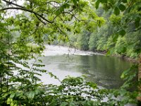 DSC 6672 : Aberfeldy Safari