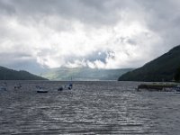 DSC 6674 : Aberfeldy Safari