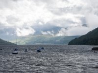 DSC 6680 : Aberfeldy Safari