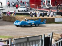 DSC 5589 : Goodwood Festival of Speed 2016 Dad Luke