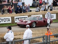 DSC 5615 : Goodwood Festival of Speed 2016 Dad Luke