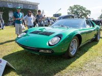 DSC 5636 : Goodwood Festival of Speed 2016 Dad Luke