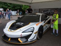 DSC 5654 : Goodwood Festival of Speed 2016 Dad Luke