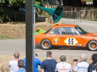 DSC 5681 : Goodwood Festival of Speed 2016 Dad Luke