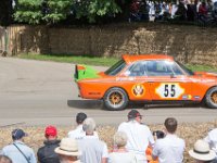 DSC 5682 : Goodwood Festival of Speed 2016 Dad Luke