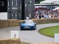 DSC 5720 : Goodwood Festival of Speed 2016 Dad Luke
