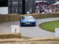 DSC 5721 : Goodwood Festival of Speed 2016 Dad Luke