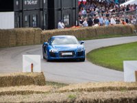 DSC 5722 : Goodwood Festival of Speed 2016 Dad Luke