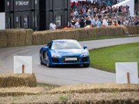 DSC 5723 : Goodwood Festival of Speed 2016 Dad Luke