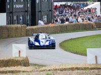 DSC 5729 : Goodwood Festival of Speed 2016 Dad Luke