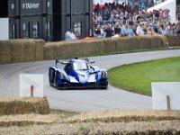 DSC 5730 : Goodwood Festival of Speed 2016 Dad Luke
