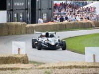 DSC 5733 : Goodwood Festival of Speed 2016 Dad Luke