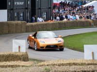 DSC 5736 : Goodwood Festival of Speed 2016 Dad Luke