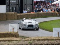 DSC 5745 : Goodwood Festival of Speed 2016 Dad Luke