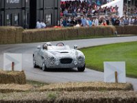 DSC 5746 : Goodwood Festival of Speed 2016 Dad Luke