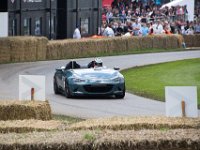 DSC 5747 : Goodwood Festival of Speed 2016 Dad Luke